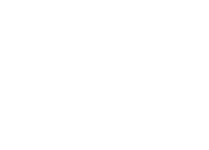 icon digital