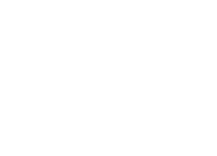 icon film