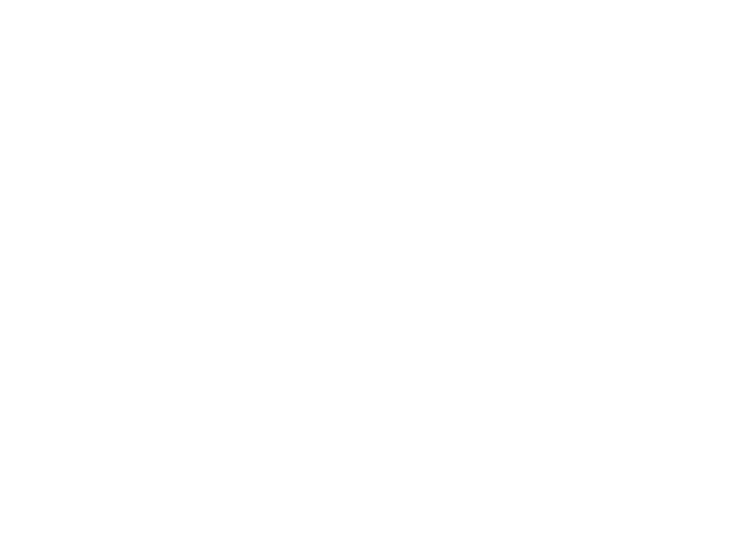 icon labor